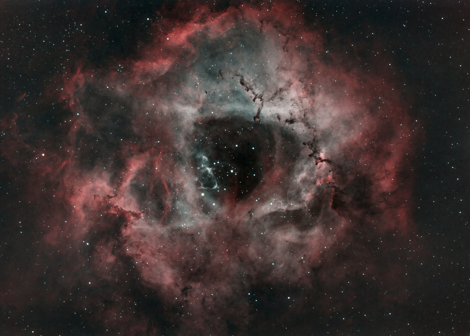 Rosette_nebula_1600x.jpg