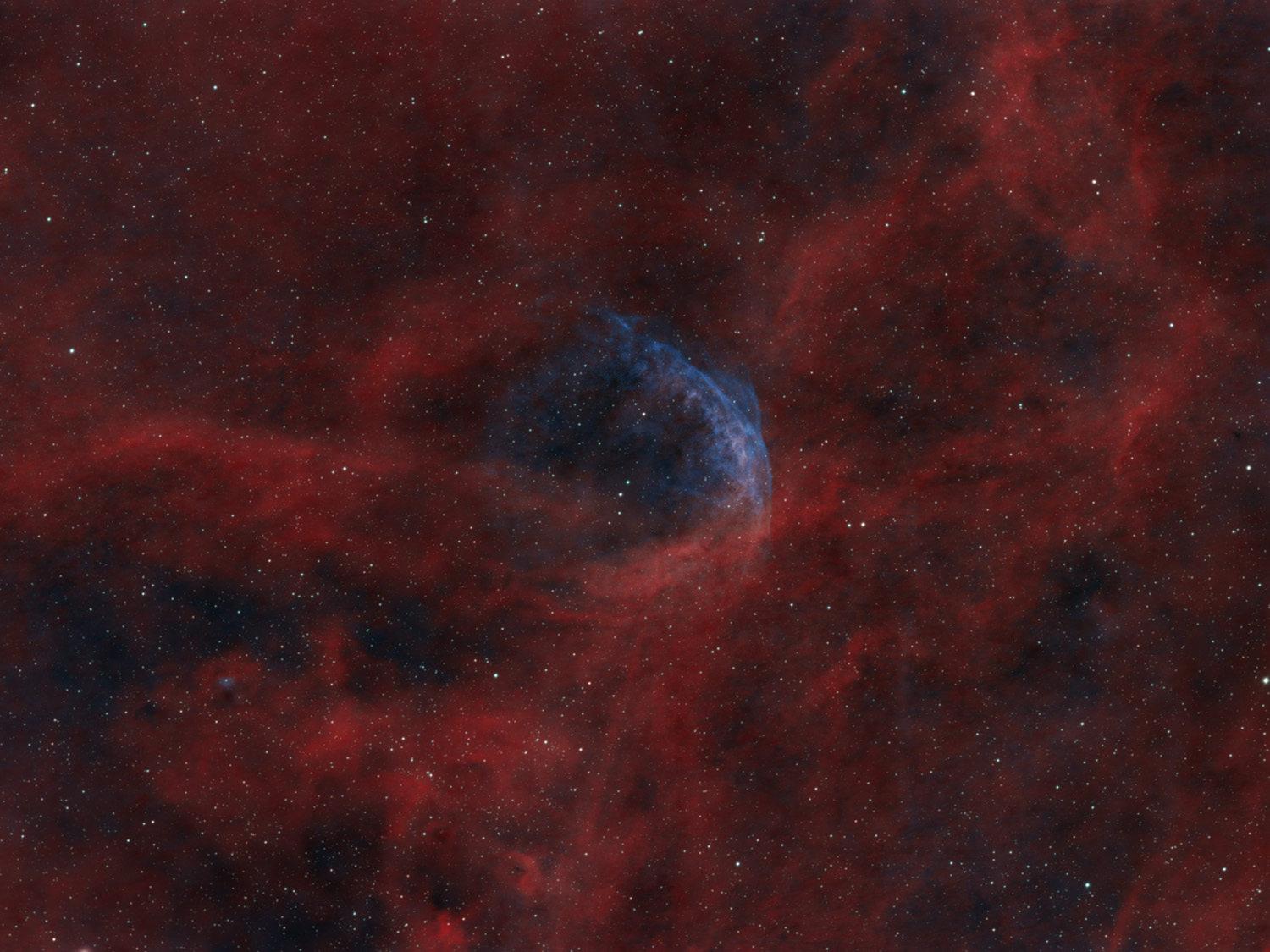 Wolf-Rayet-Nebula - WR 134 - meets Celestron RASA 8 - Experienced 