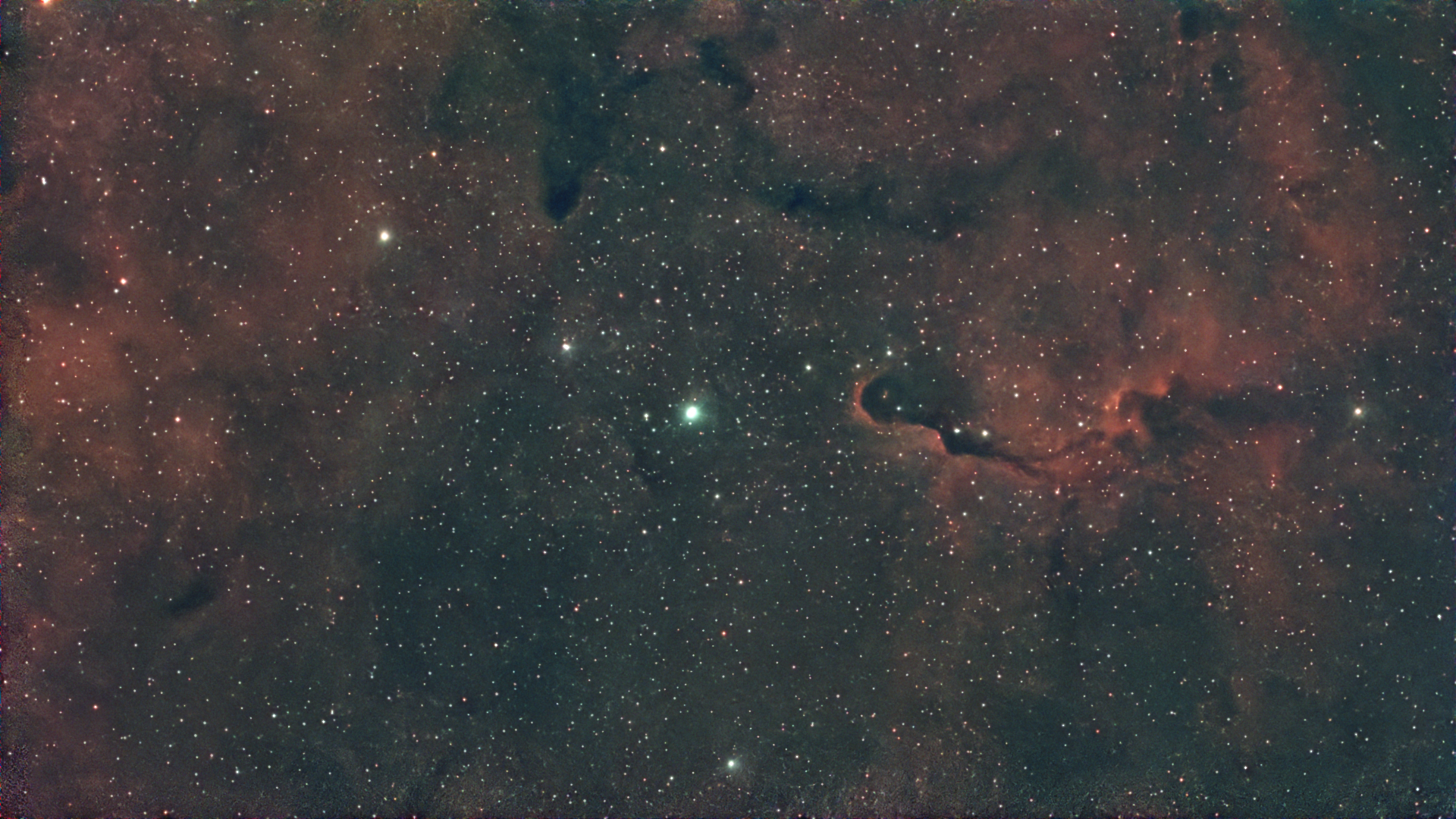 IC 1396 im Dwarf Mini mit integrierten Dual-Band-Filter.